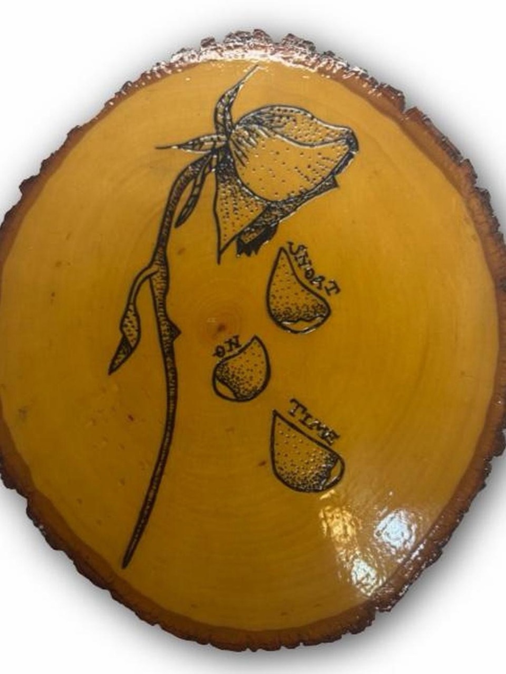 Hand-Painted and Burnt Wood Slice Wall Art with Black Botanical Illustration